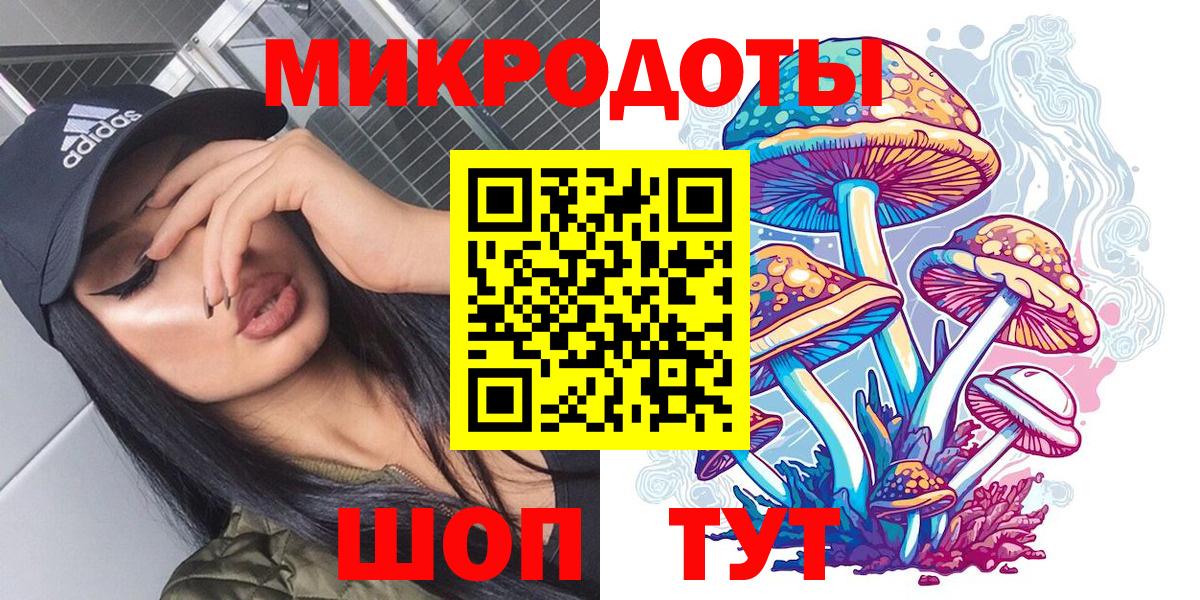 Псилоцибиновые грибы Psilocybine cubensis Кстово