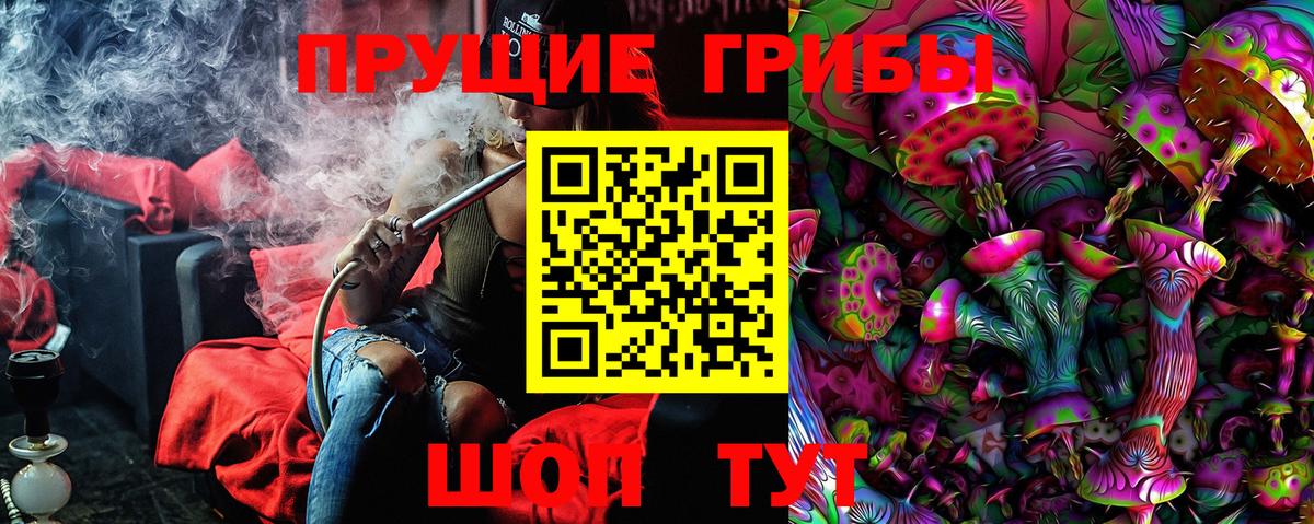 Кстово  Псилоцибиновые грибы GOLDEN TEACHER  Вход с VPN 